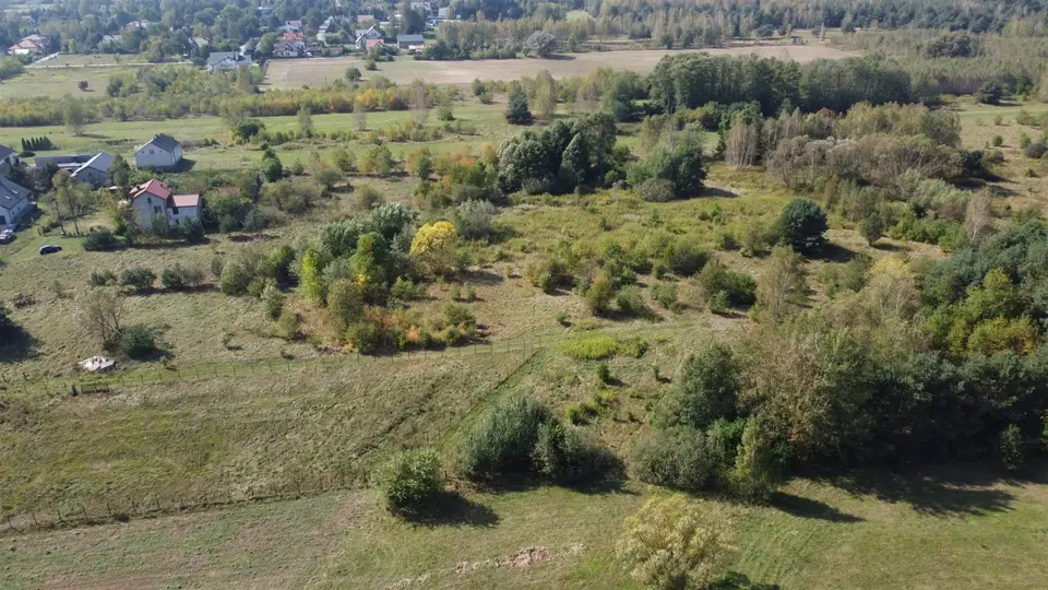 Zdjęcie 15