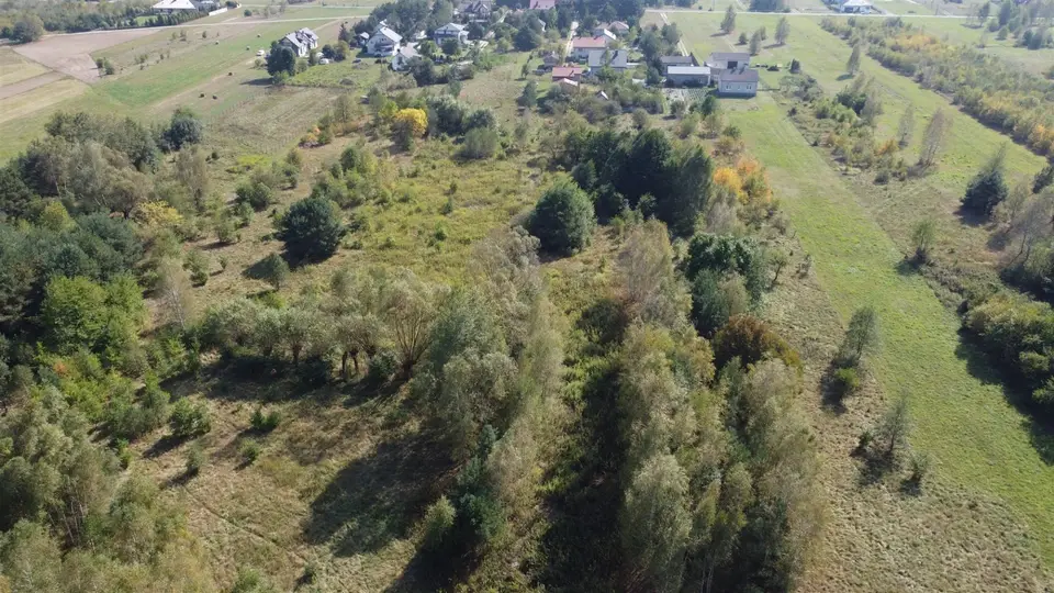 Zdjęcie 16