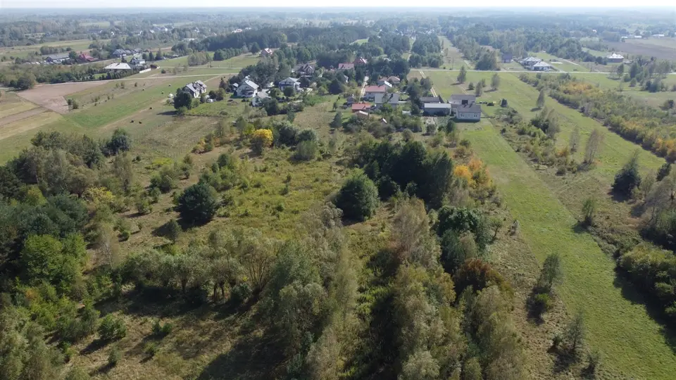 Zdjęcie 17