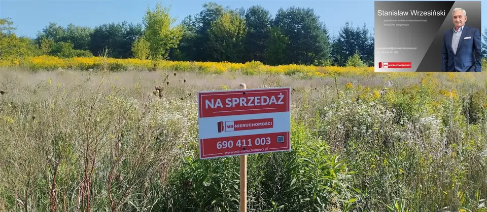 Zdjęcie 3