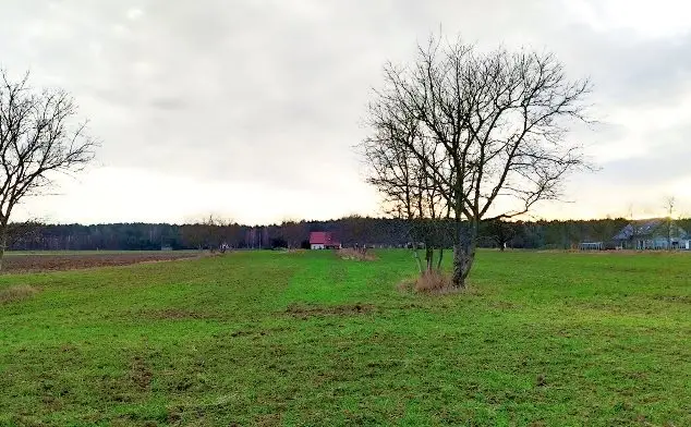 Zdjęcie 3
