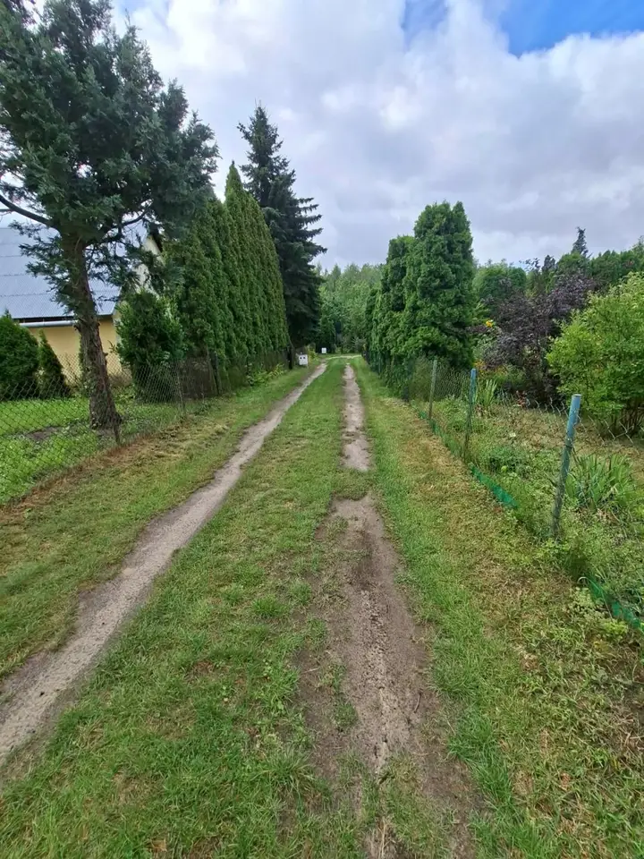 Zdjęcie 6