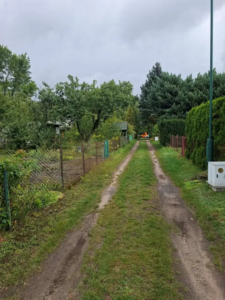 Zdjęcie 7