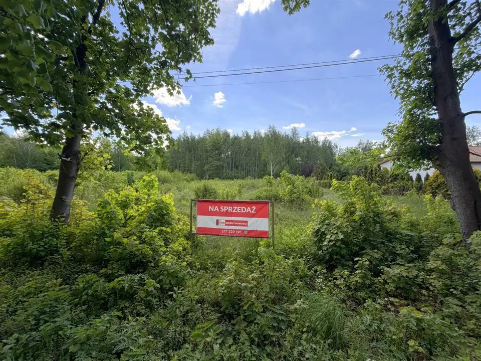 Zdjęcie 4
