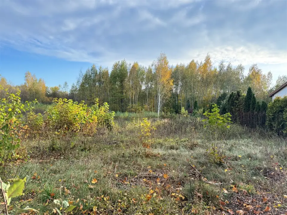 Zdjęcie 11