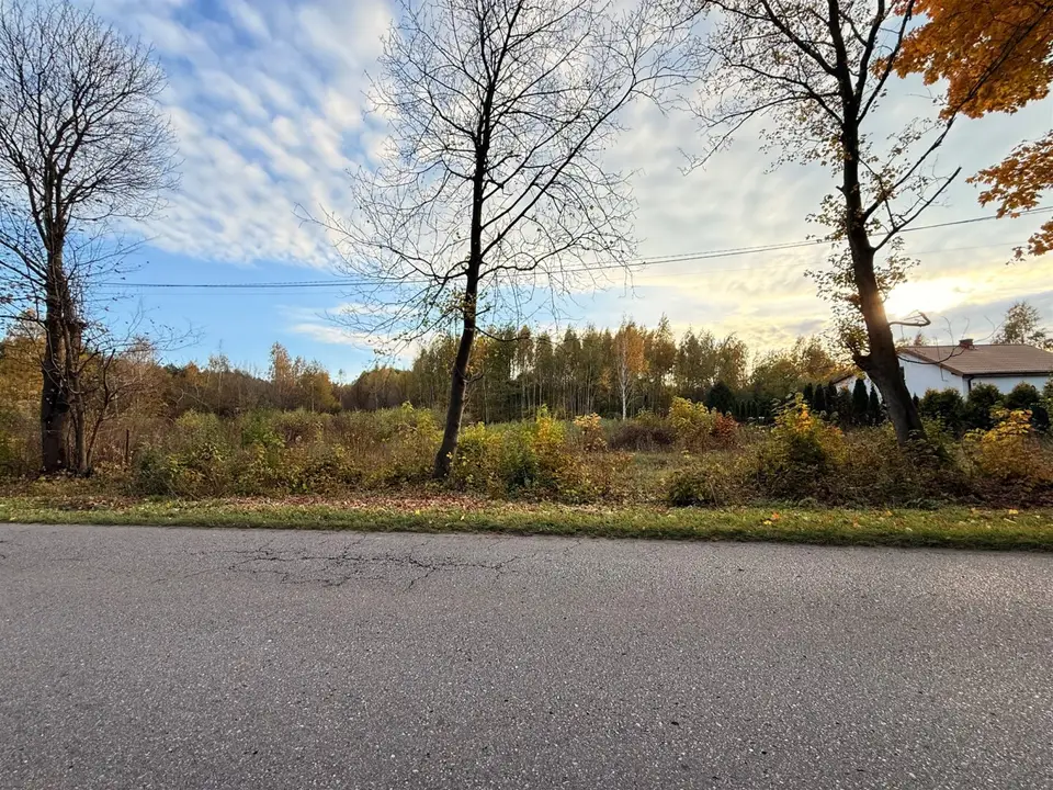 Zdjęcie 16