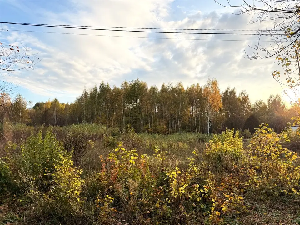 Zdjęcie 17