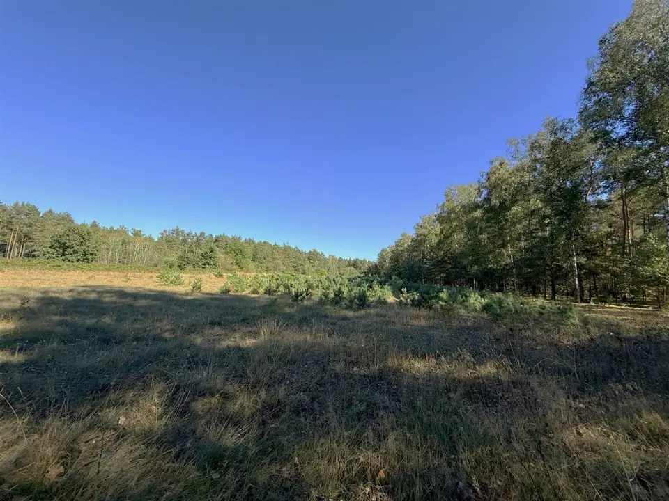 Zdjęcie 5