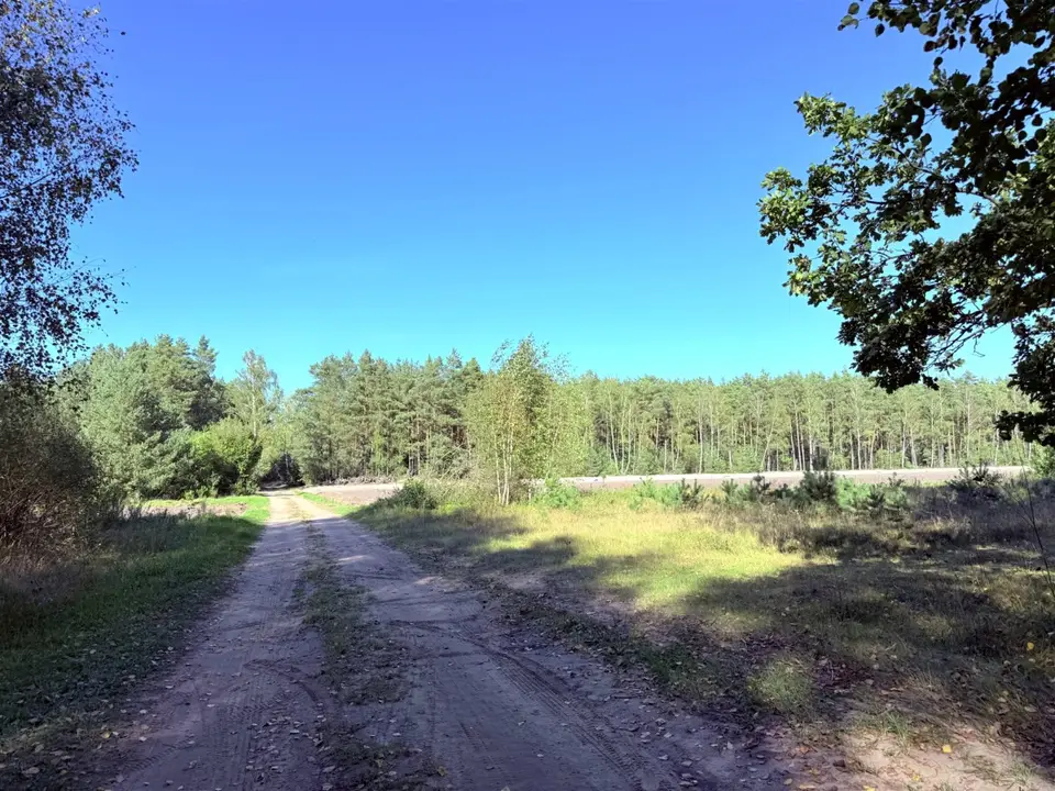 Zdjęcie 12