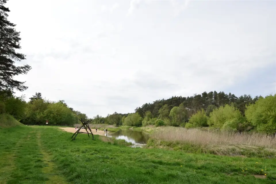 Zdjęcie 13