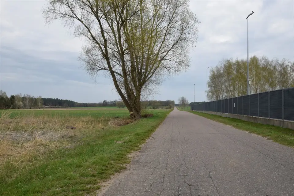 Zdjęcie 10