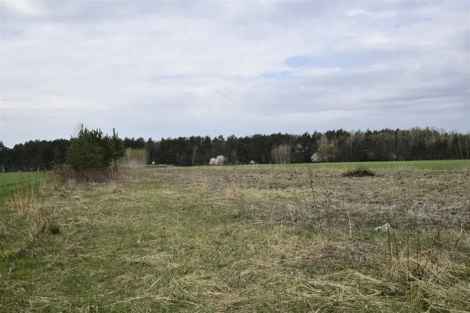 Zdjęcie 11