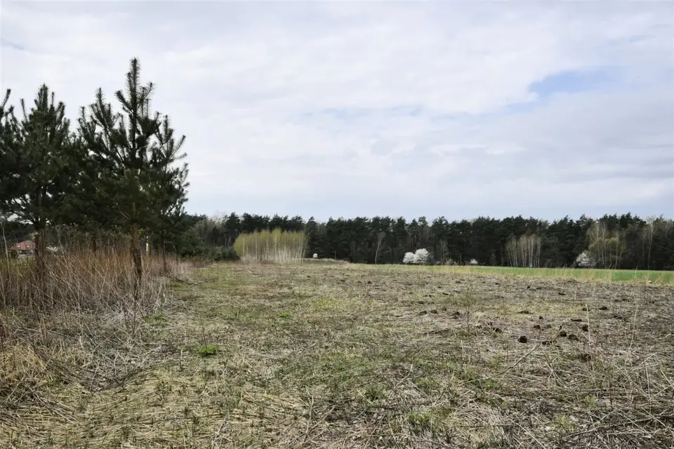 Zdjęcie 12