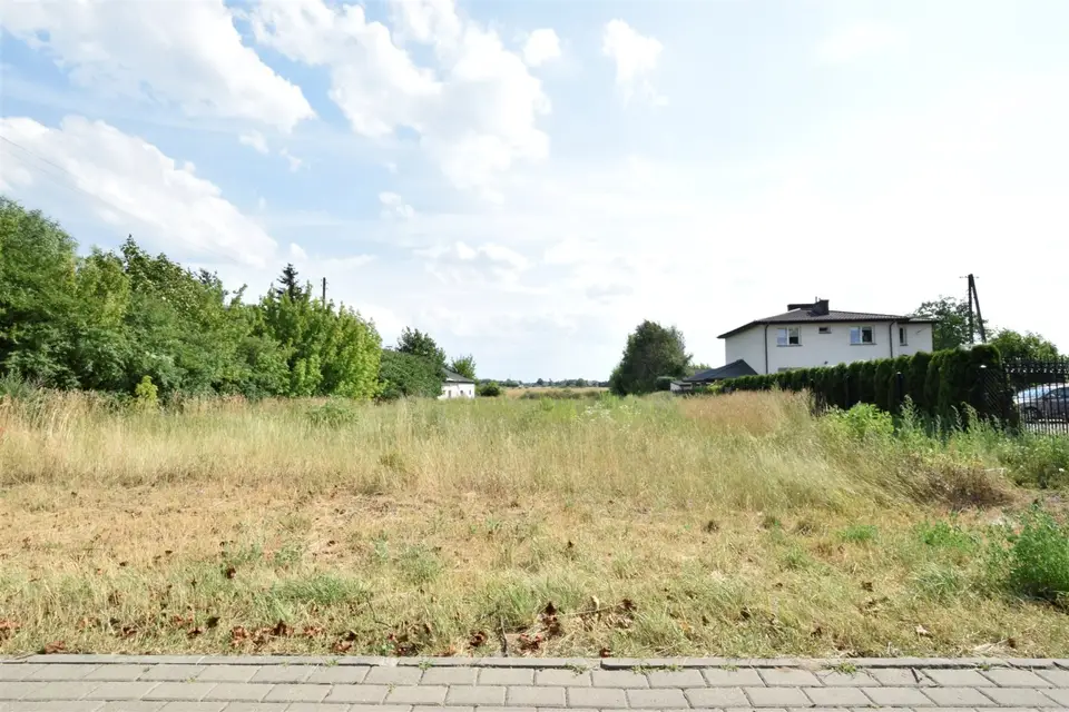 Zdjęcie 10