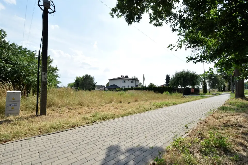 Zdjęcie 13