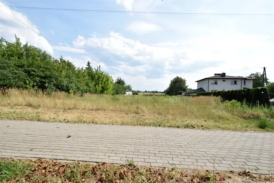 Zdjęcie 15
