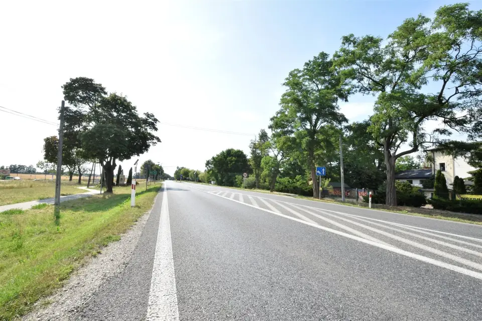 Zdjęcie 17