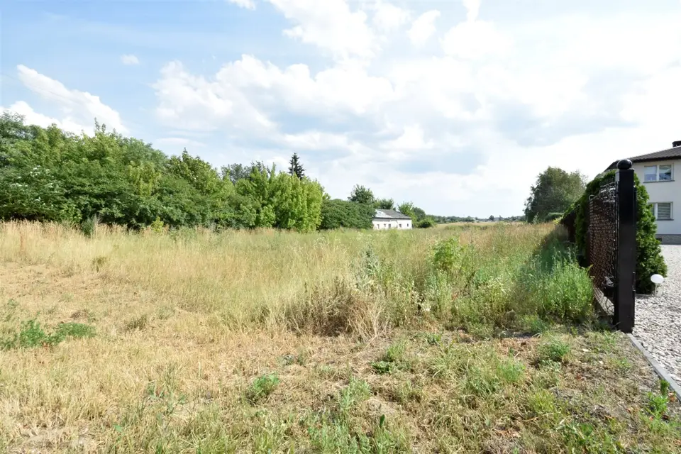 Zdjęcie 18