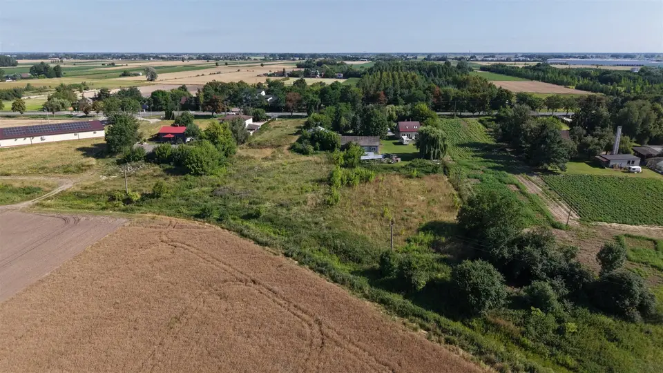 Zdjęcie 24