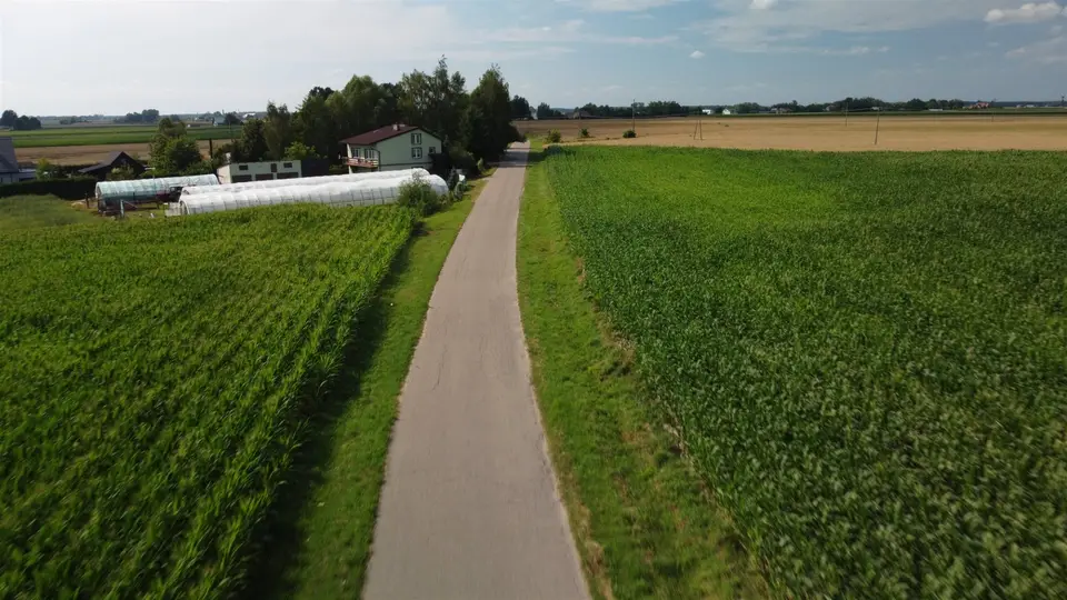 Zdjęcie 8