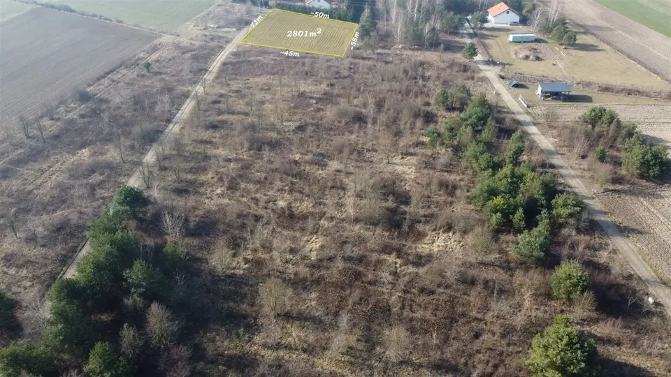 Zdjęcie 2