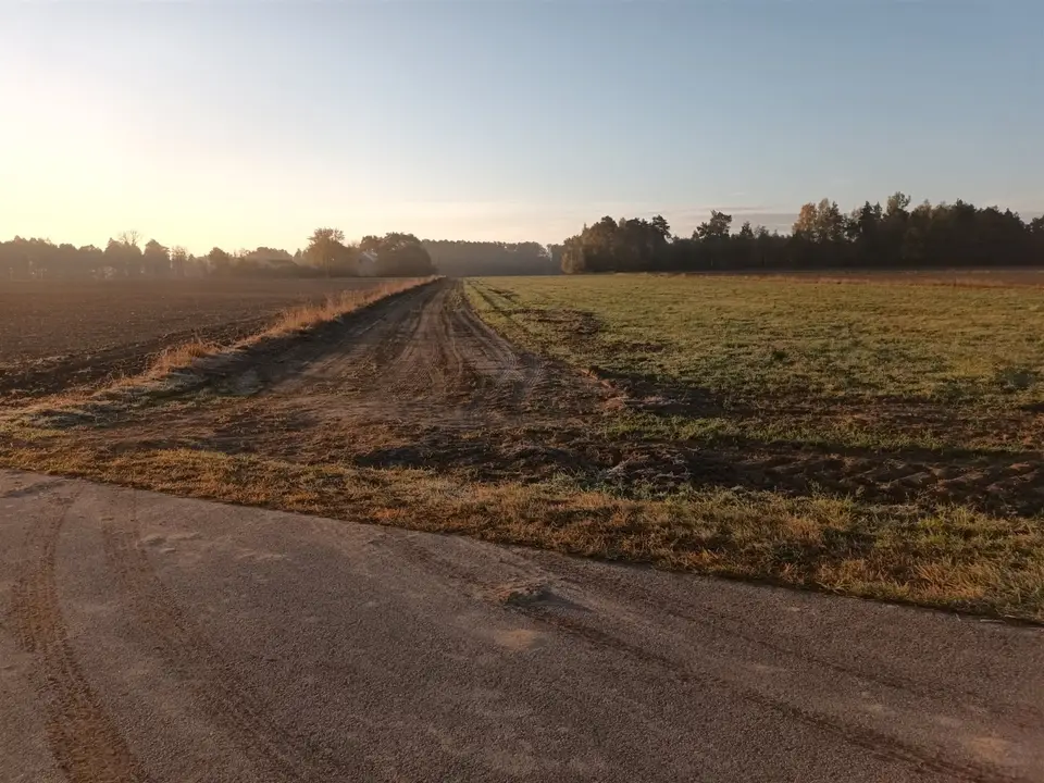 Zdjęcie 10