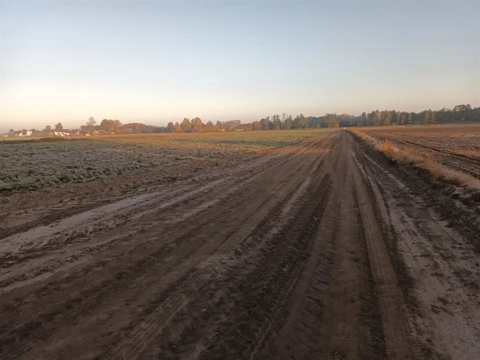 Zdjęcie 14