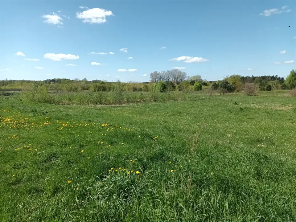 Działka rolna 4 681 m², Sochocin