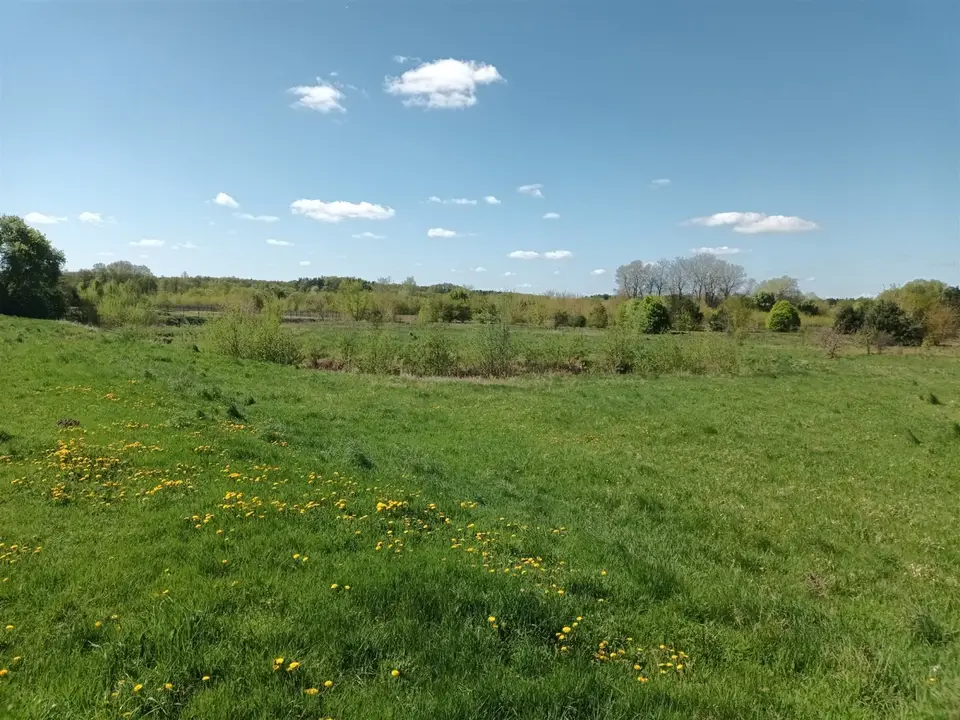 Zdjęcie 3