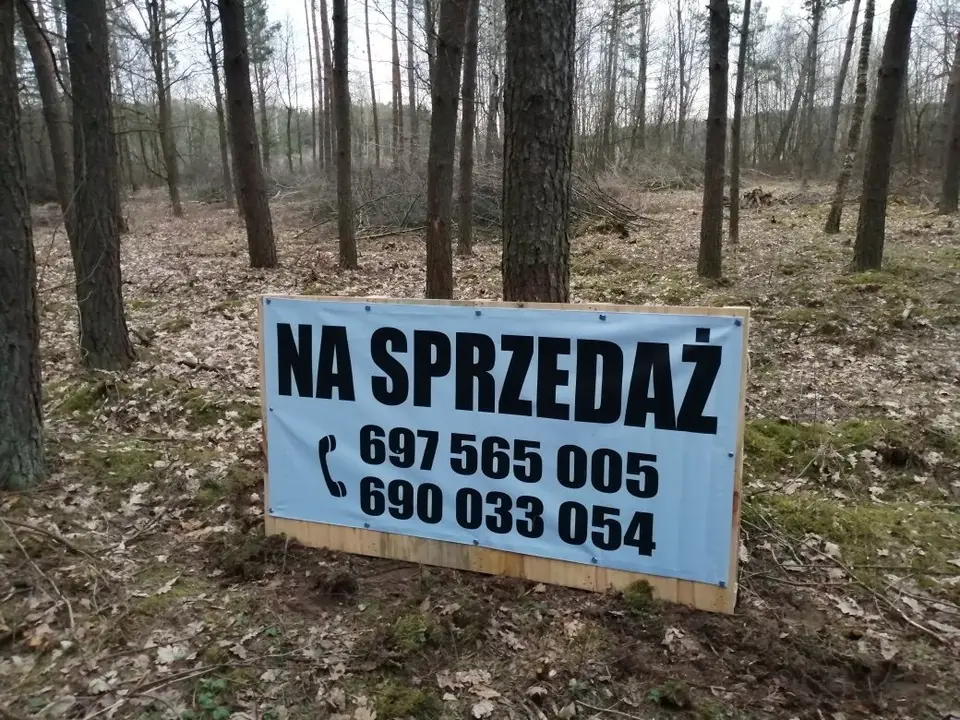 Działka budowlana i rekreacyjna 3 278 m², Błędowo