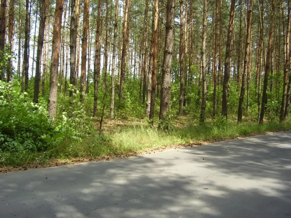 Zdjęcie 2