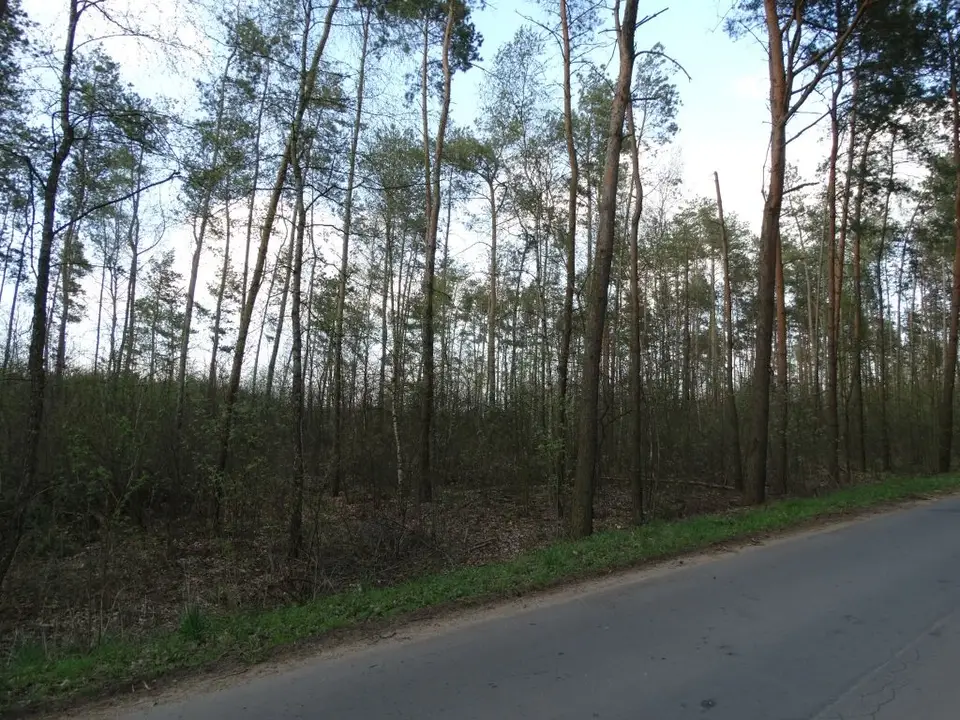 Zdjęcie 8
