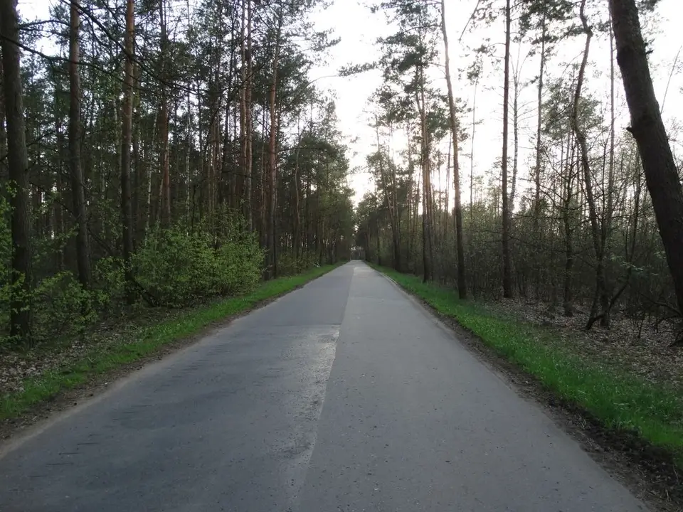 Zdjęcie 9