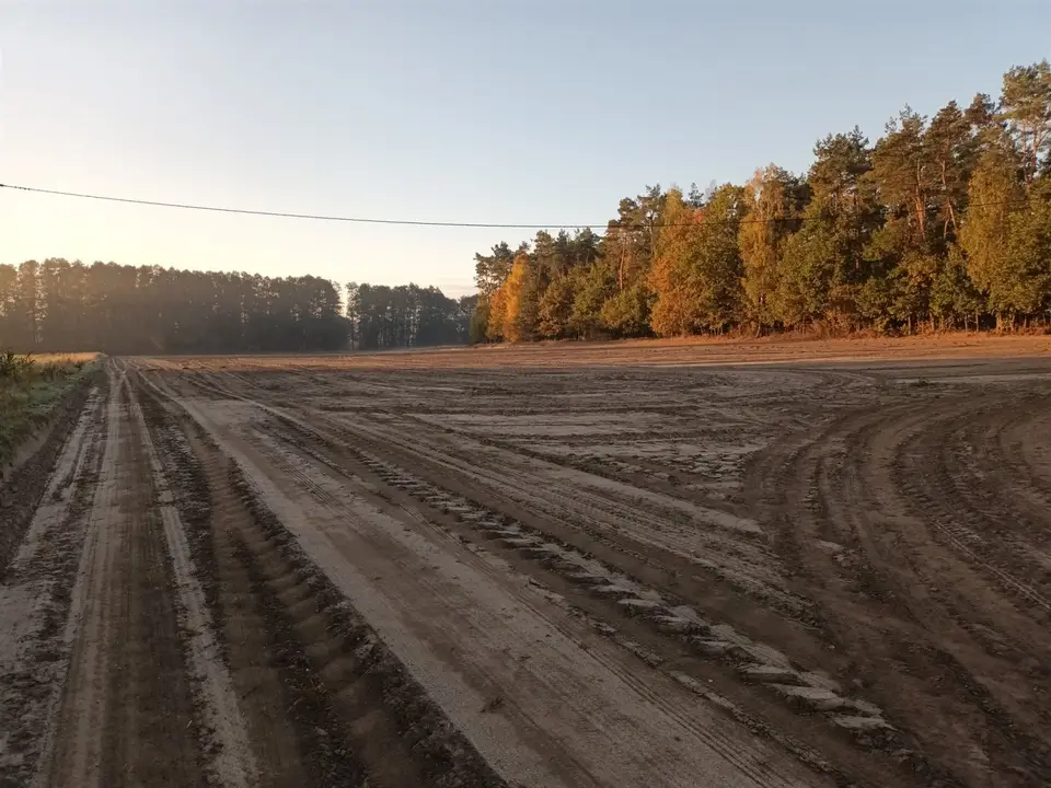 Zdjęcie 11