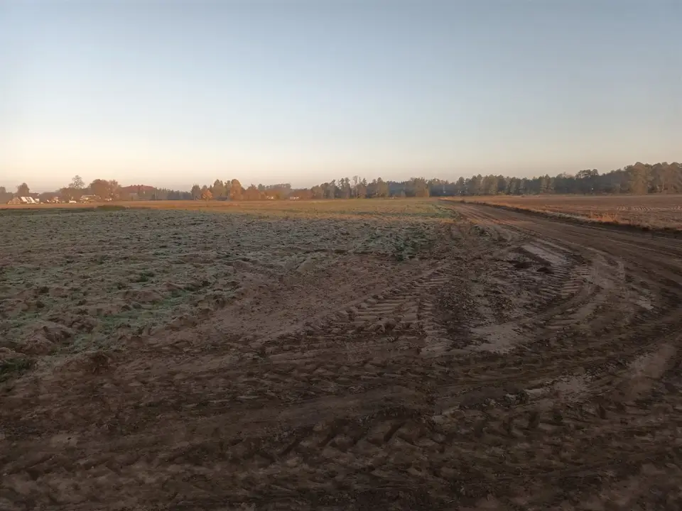 Zdjęcie 12