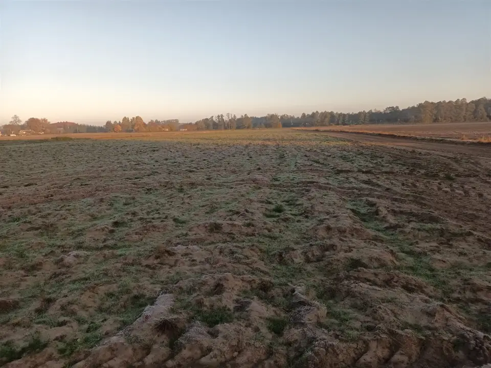 Zdjęcie 13
