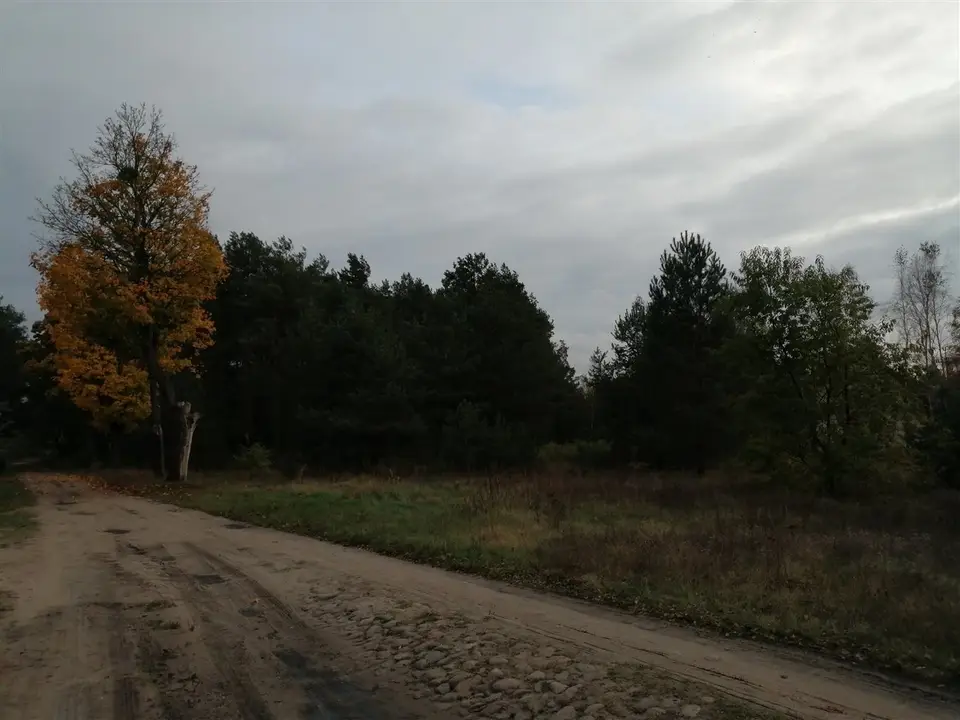 Zdjęcie 4