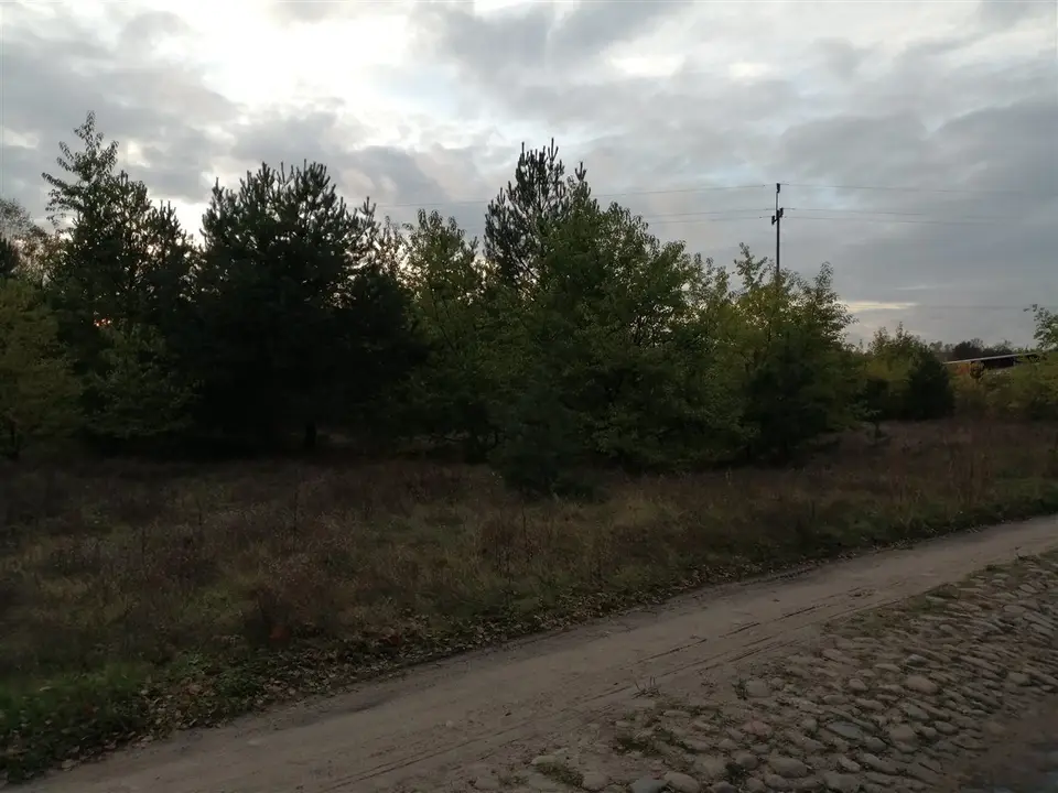 Zdjęcie 6