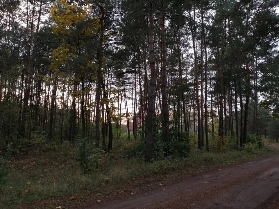 Zdjęcie 8