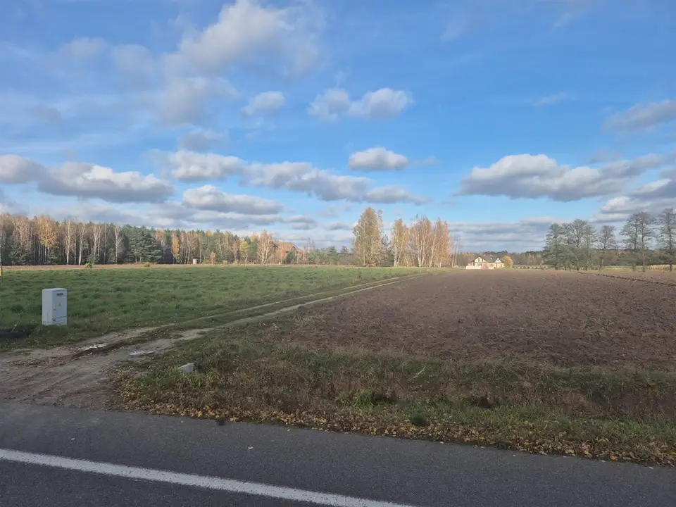 Zdjęcie 8