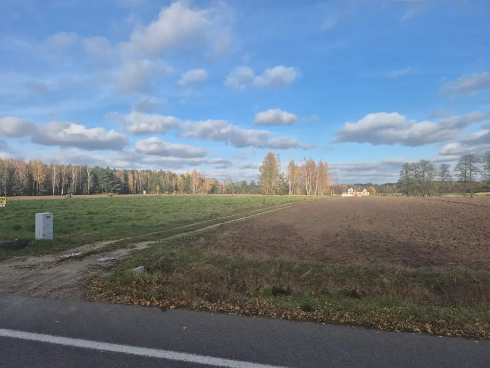 Zdjęcie 9