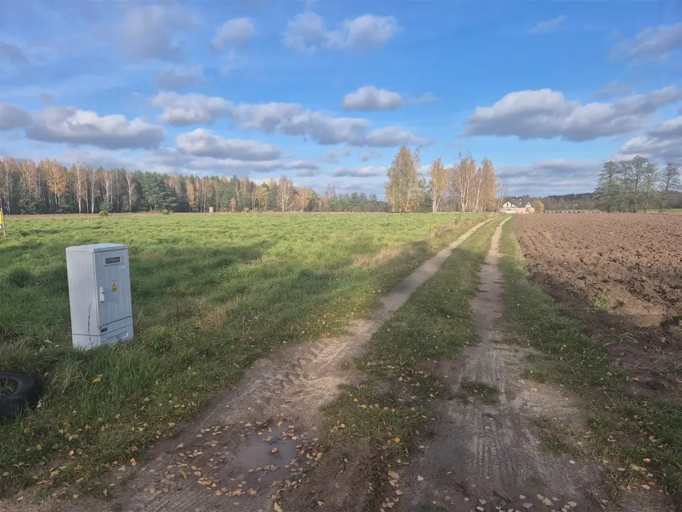 Zdjęcie 10