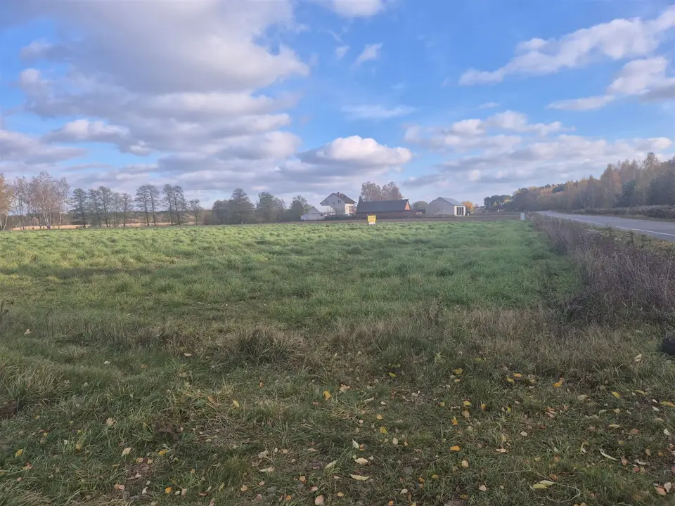 Zdjęcie 11