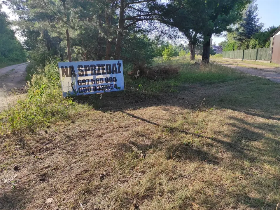 Zdjęcie 3