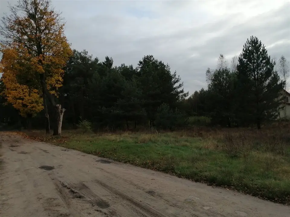 Zdjęcie 9