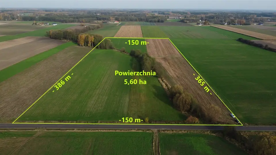 Działka rolna 5,6 ha, Nowe Wrońska