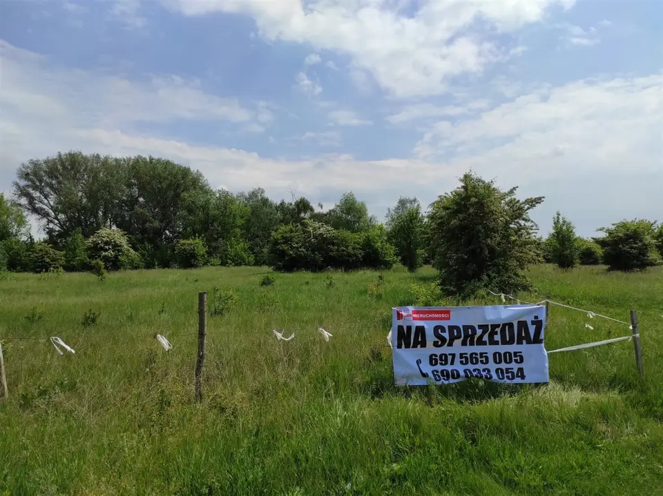 Zdjęcie 2