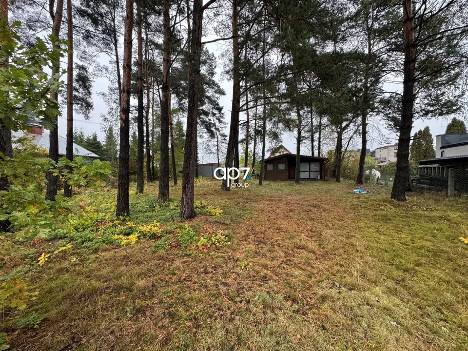 Zdjęcie 2