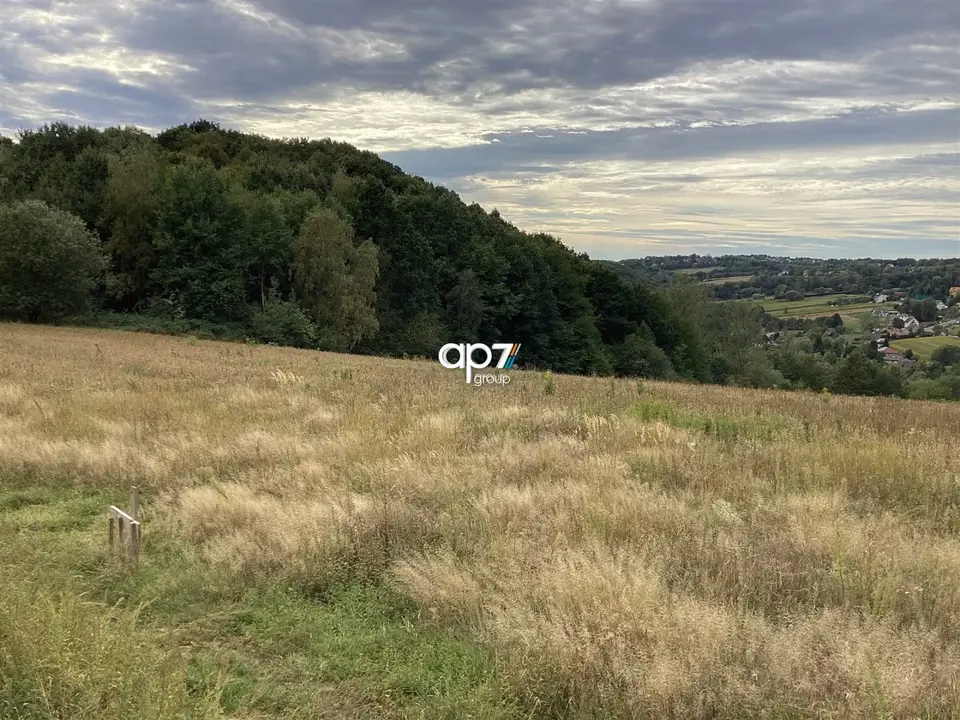 Zdjęcie 4
