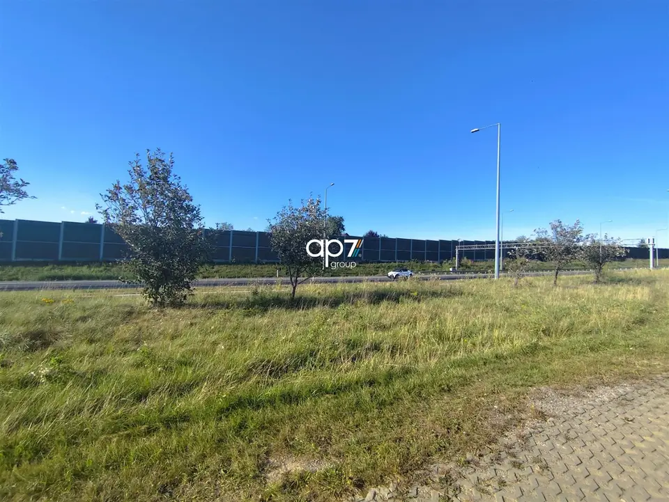 Zdjęcie 5